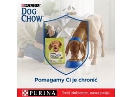 Purina DOG CHOW Sensitive Łosoś Karma Sucha 14kg